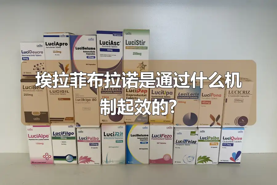 埃拉菲布拉诺是通过什么机制起效的?